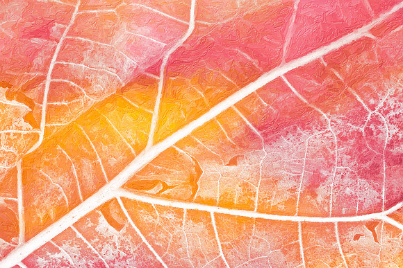 Photo Synthesis - Pastel Leaf Decay