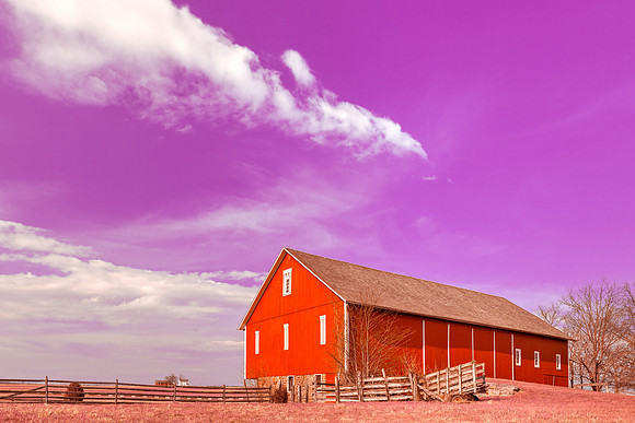 Spangler House Farm - Candy Fantasy