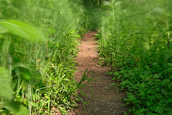 Windy Goose Creek Trail