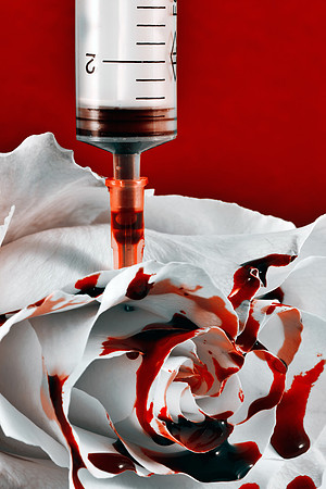 Paining a Rose Red