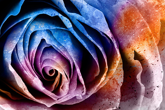 Abstract Acrylic Rose