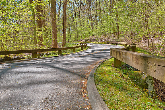 Rock Creek Winding Road