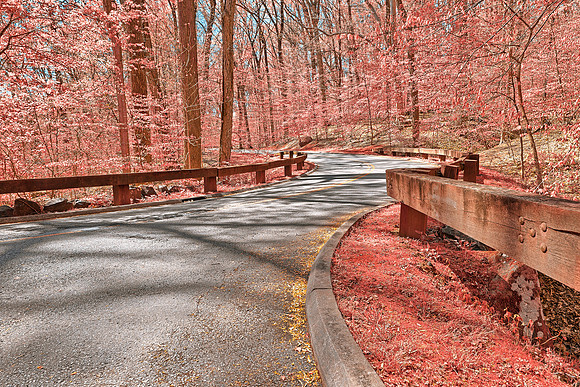 Rock Creek Winding Road - Tickle Me Pink