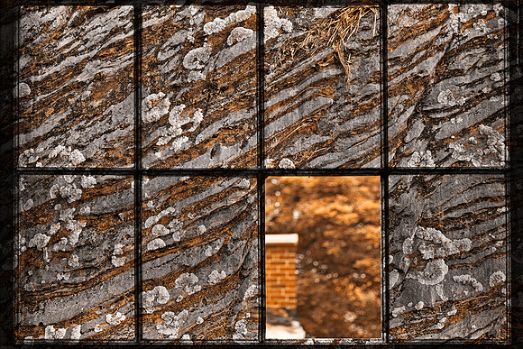 Petrified Window