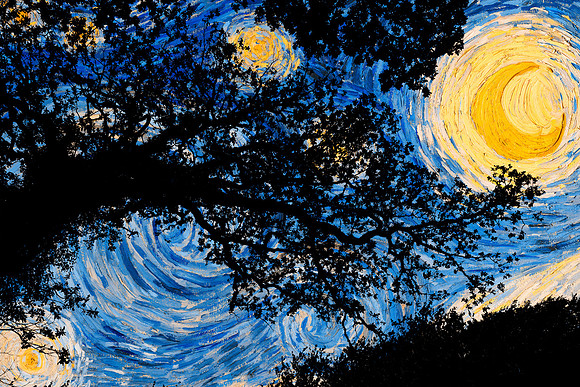 Starry Forest Night