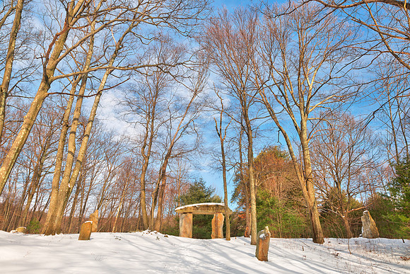 Winter Megalith Forest
