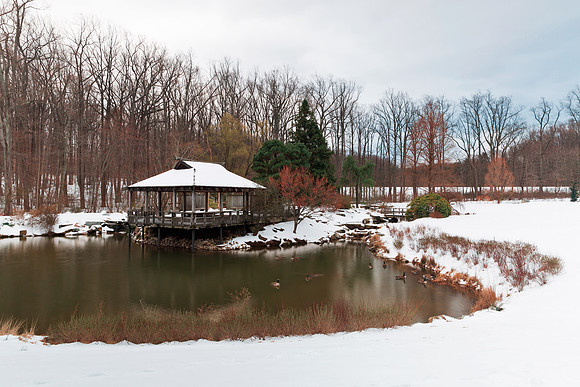 Brookside Winter Spring Gardens