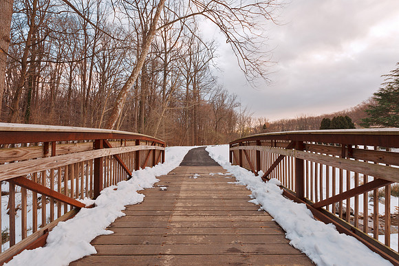 Brookside Winter Bridge