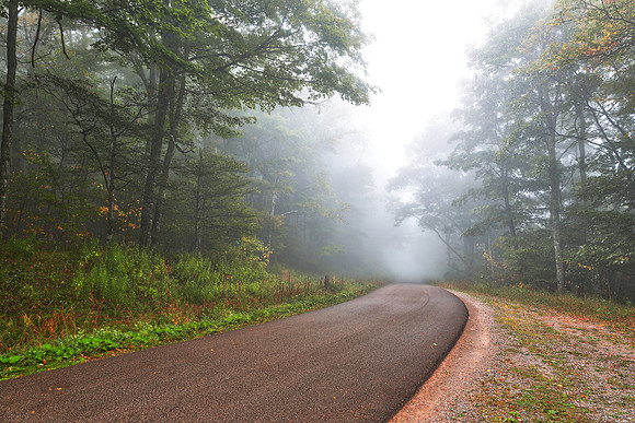 Misty Forest Road - Spruce Knob