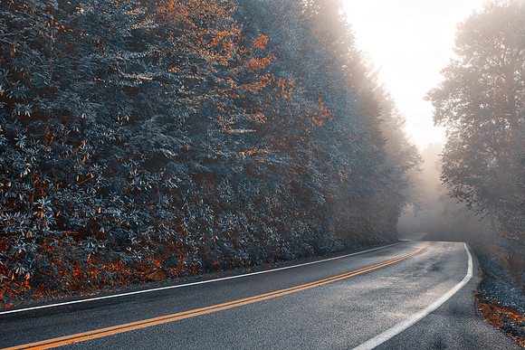 Slick Mist Forest Road - Autumn Blues
