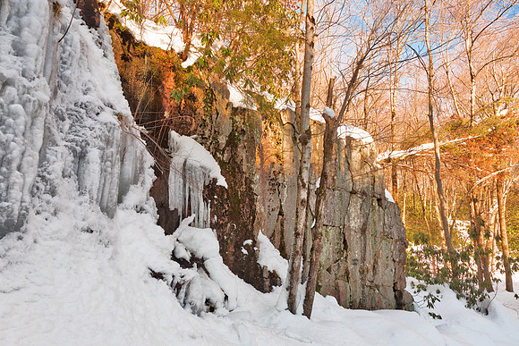 Winter Hawk Rockscape