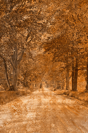 Acrylic Canopy Road - Vintage Nostalgia