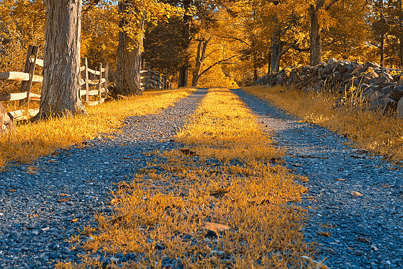 Gettysburg Gold Gravel Road