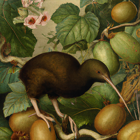 Kiwi Forest