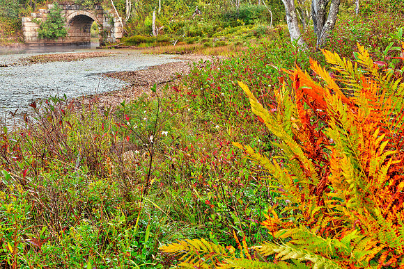 Rustic Pendleton Autumn