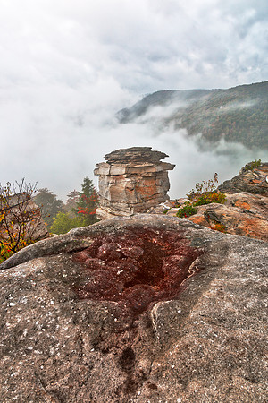 Blackwater Mountain Fog - Lindy Point