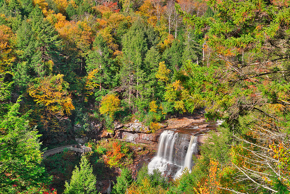 Autumn Blackwater Falls Overlook