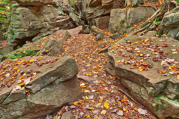Autumn Midway Crevasse - Ricketts Glen