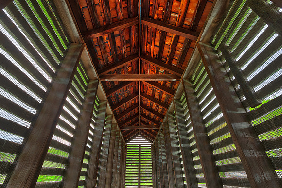 Dust Bug Chapel