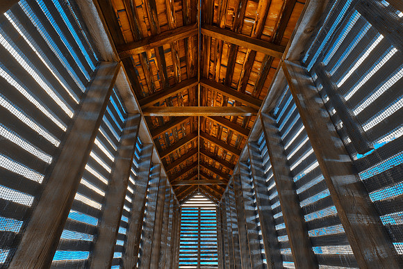 Blue Dust Bug Chapel