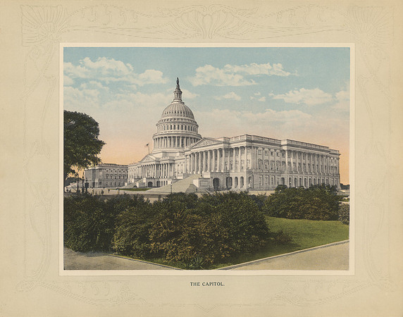 Vintage Image Plate - The Capitol