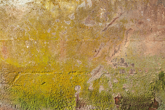Organic Wall Decay