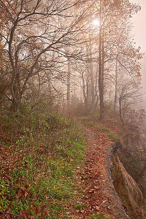 Misty North Point Trail