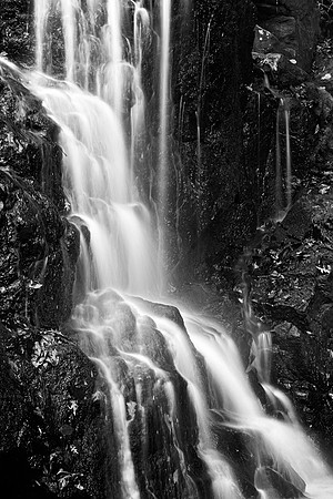 Avalon Falls - Black & White