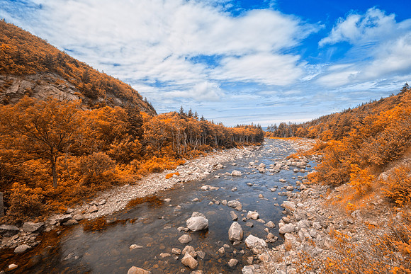 Mackenzies River - Amber Fantasy