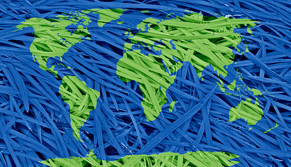 Organic World