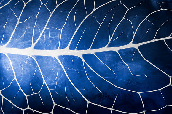Glowing Grunge Veins