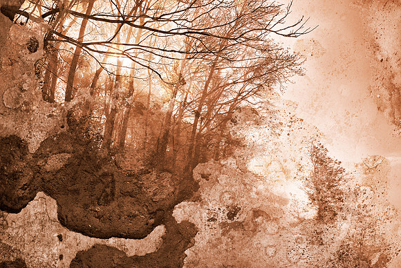 Acrylic Grunge Forest - Sepia Haze
