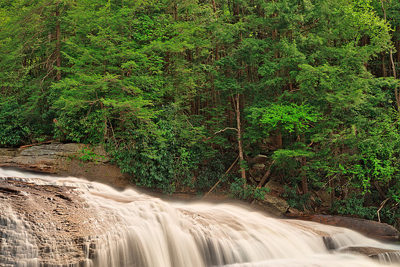 Spring Swallow Falls