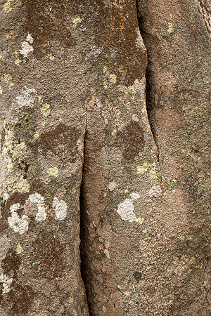 Megalith Stone Texture