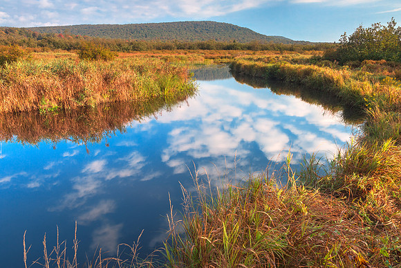 Winding Blackwater River
