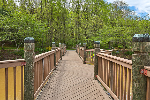 Meadowlark Gardens Bridge