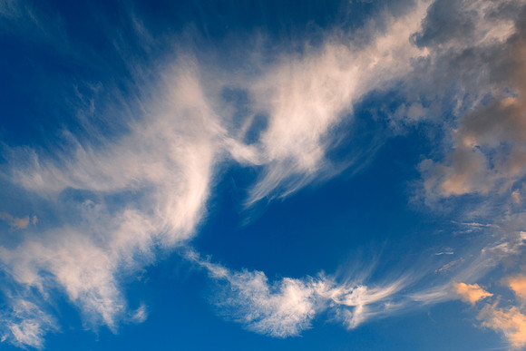 Cheeky Devil Clouds