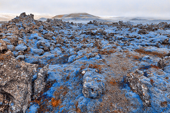 Nuclear Moss Winter