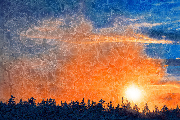 Organic Sunset Rapture