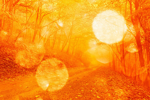 Bokeh Fire Forest Road