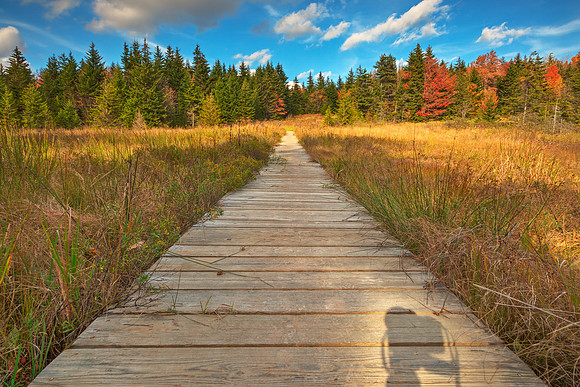 Autumn Camera Obscura Trail