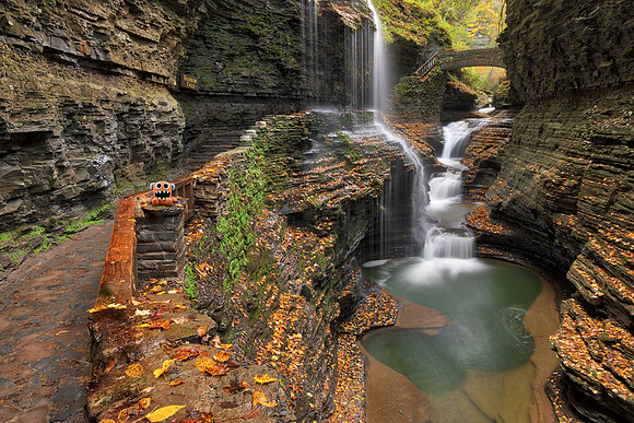 Watkins Glen and the Curious Plushie Monster