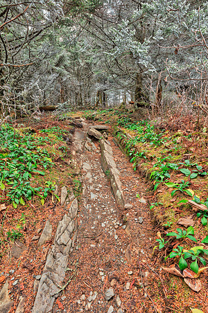 Frosted Appalachian Trail