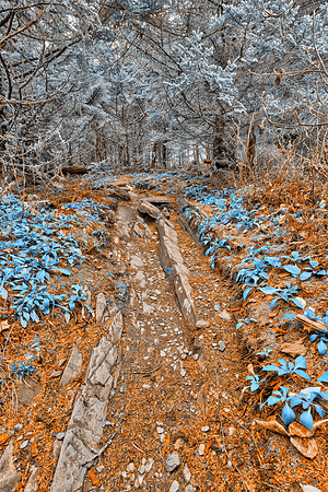 Frozen Appalachian Trail