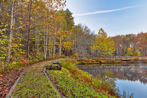 Fenwick Wetlands Trail
