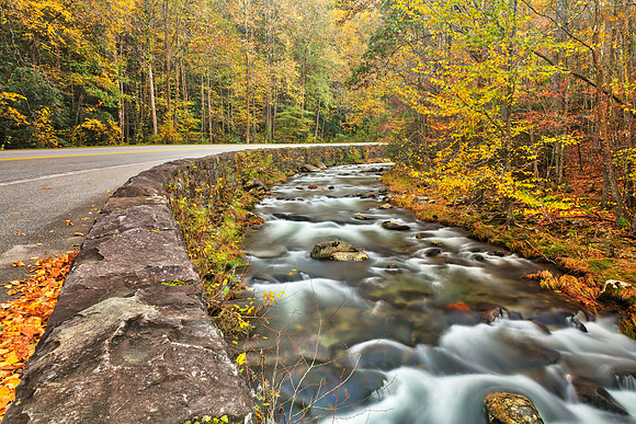 Winding River Road - Great Smoky Mountains
