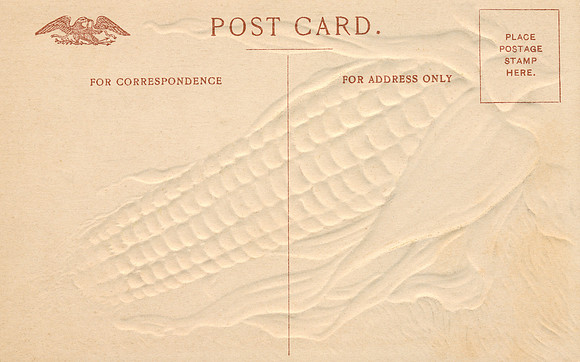 Vintage Postcard Copyspace 6