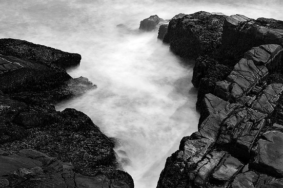 Leviathan Thunder Coast - Black & White
