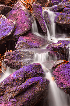 Ultraviolet Moss Falls