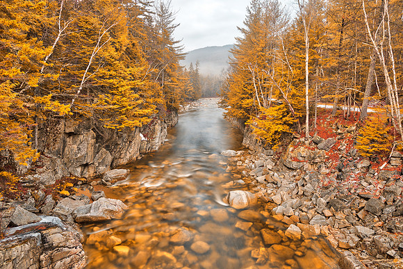 Gold Swift River